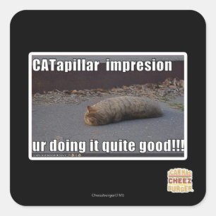 CATapillar Square Sticker