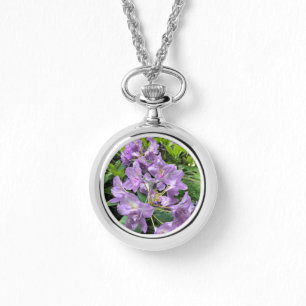 Catawbiense Boursault Rhododendrons, Oregon Watch