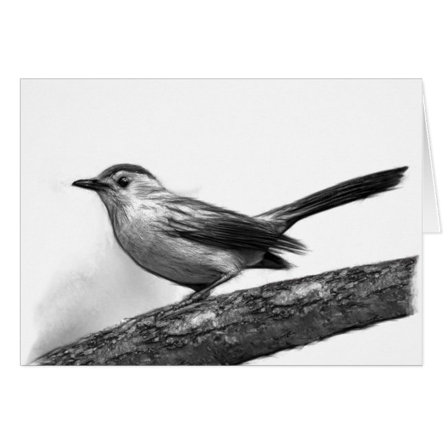 Catbird (Front Horizontal)