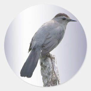 Catbird Classic Round Sticker