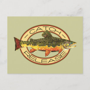 Catch and Release Fishing Postcard
