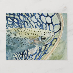Catch & Release Fishing Designs Postcard