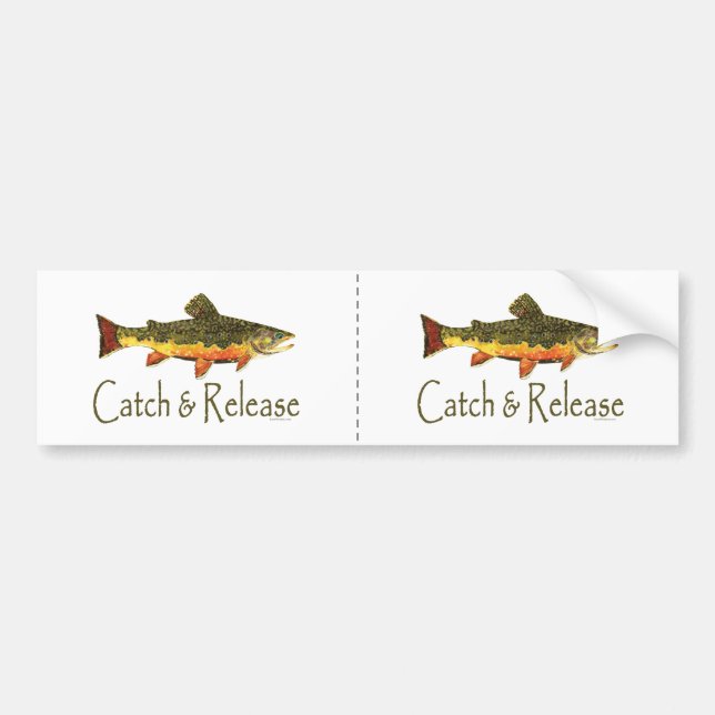 Catch & Release Trout Fishing Bumper Sticker (Front)