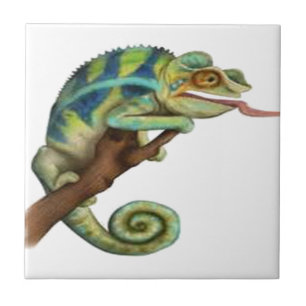 CATCH THE EYE TILE