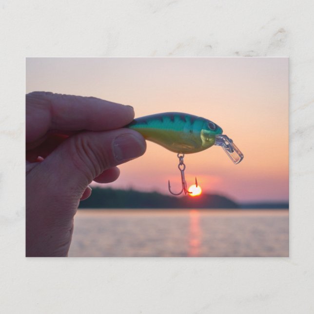 Catch the sunset postcard (Front)