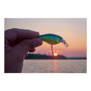 Catch the sunset poster