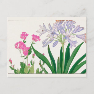 Catchfly, African lily by Tanigami Konan Postcard