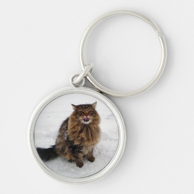 Catching a snowflake key ring (Front)