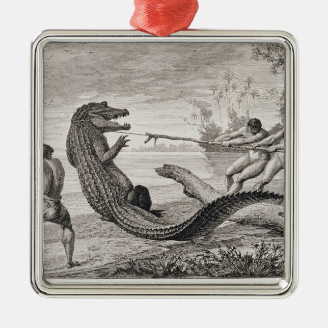 Catching an alligator with lasso metal tree decoration (Front)