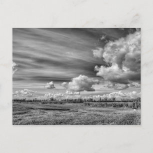 Catching Clouds (B&W) Postcard