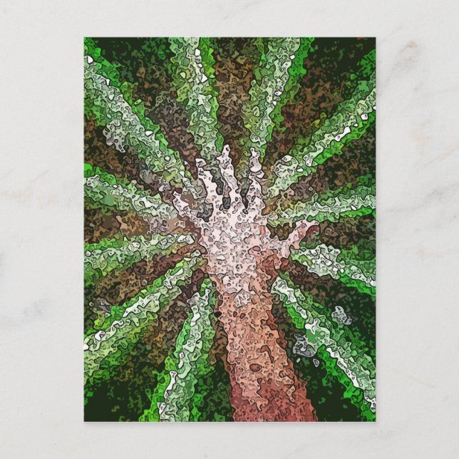 Catching Light Postcard (Front)