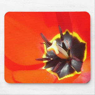 Catching rays mouse pad