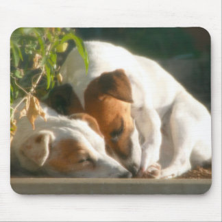 Catching zzzz's mouse pad