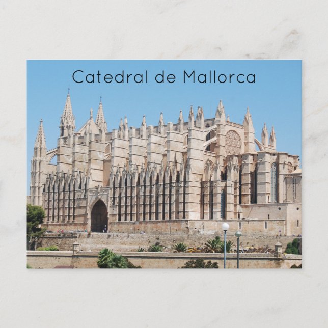 Catedral de Mallorca Postcard (Front)