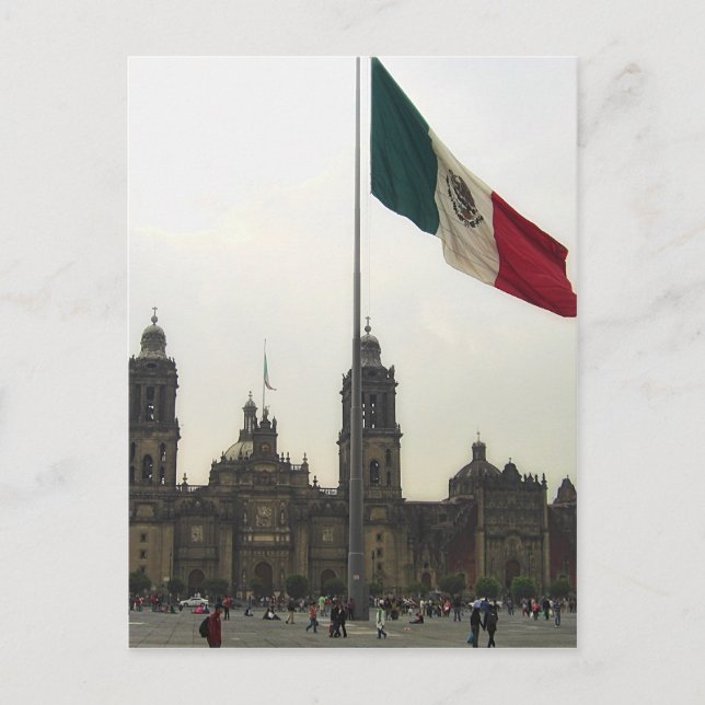 Catedral en el Zocalo del DF & la Bandera Mexicana Postcard (Front)