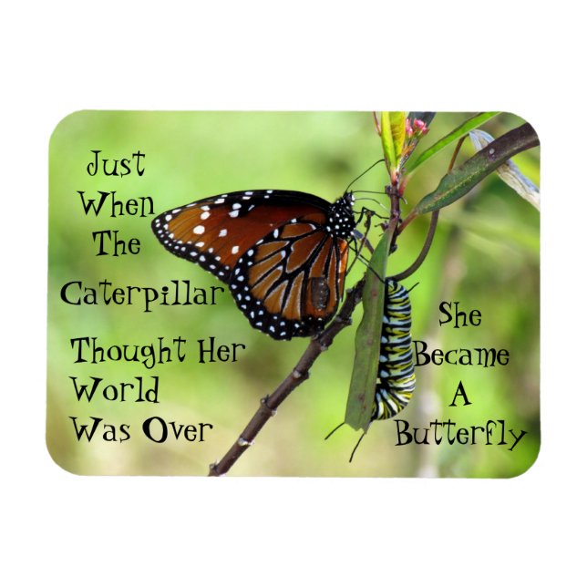 Caterpillar / Butterfly Quote Magnet (Horizontal)