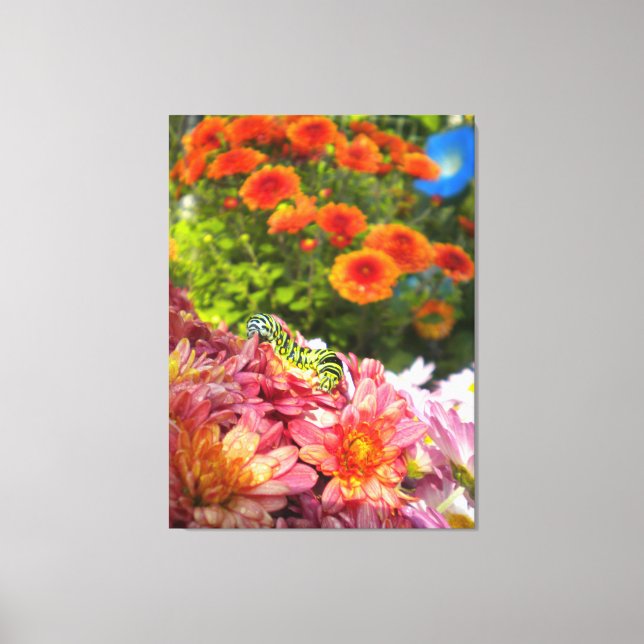 Caterpillar on Mums Wrapped Canvas (Front)