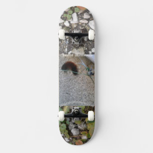 caterpillar on skateboard deck  mmetropolim design