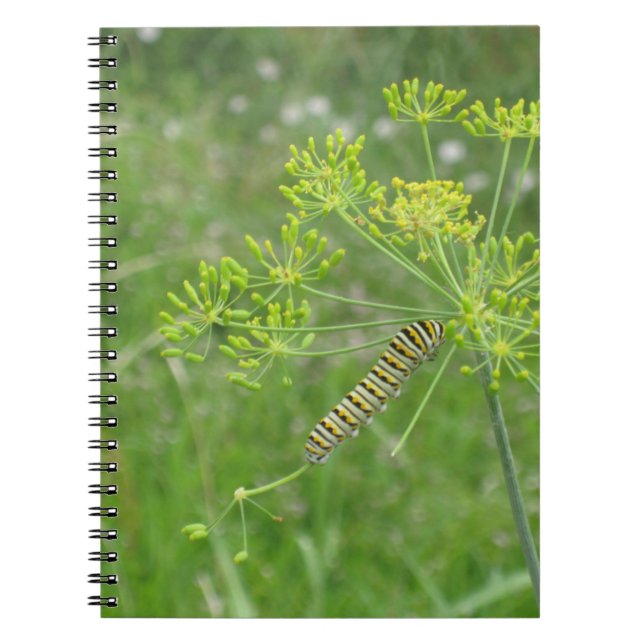 Caterpillar Spiral Notebook (Front)