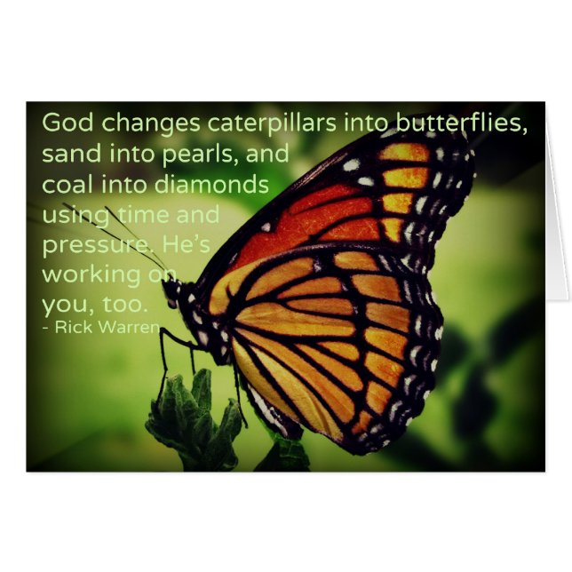 Caterpillars into Butterflies (Front Horizontal)