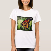 Caterpillars into Butterflies