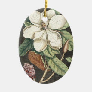 Catesby Vintage Magnolia Botanical Illustration Ceramic Tree Decoration