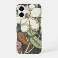 Catesby Vintage Magnolia Botanical Illustration