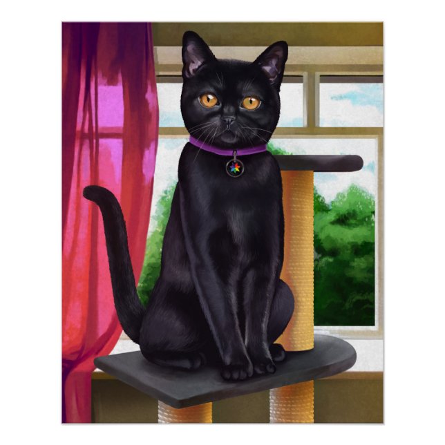CatFans - Bombay Black Cat Poster (Front)