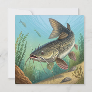 Catfish