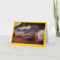 "Catfish"