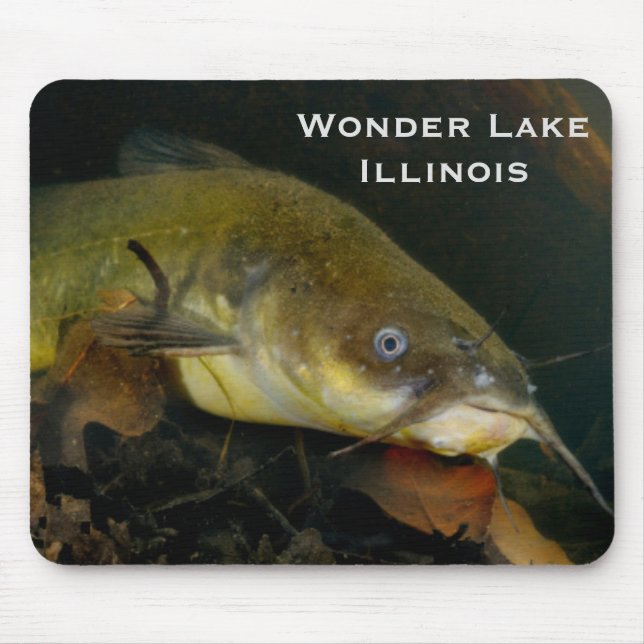 Catfish Mousepad (Front)