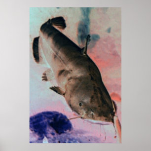 Catfish photo poster print