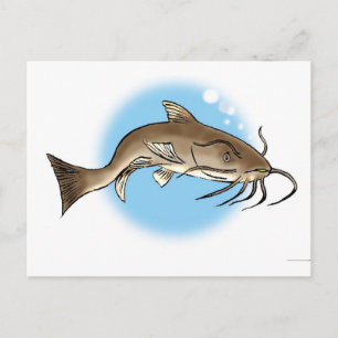 Catfish Postcard