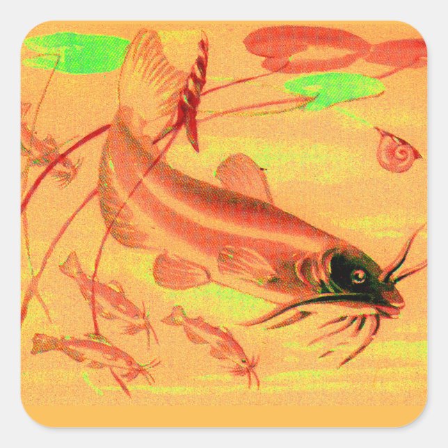 catfish square sticker (Front)