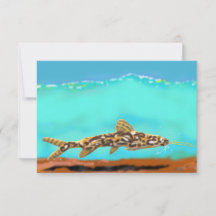 Catfish Thank You Note