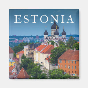 Cathedral and Cityscape Estonia Magnet