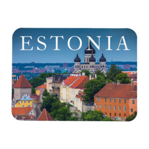 Cathedral and Cityscape Estonia Magnet