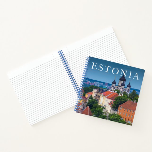 Cathedral and Cityscape | Estonia Notebook (Inside)