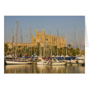 Cathedral and marina, Palma, Mallorca, Spain 2