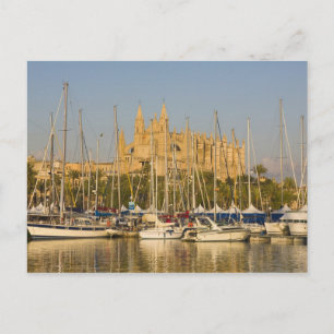 Cathedral and marina, Palma, Mallorca, Spain 2 Postcard