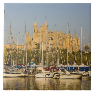 Cathedral and marina, Palma, Mallorca, Spain 2 Tile