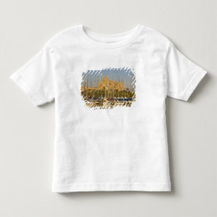 Cathedral and marina, Palma, Mallorca, Spain 2 Toddler T-Shirt