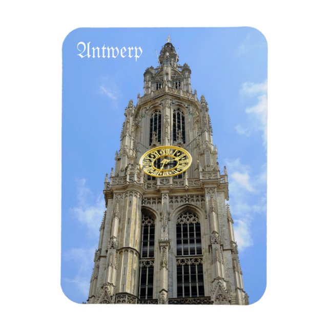 Cathedral in Antwerp, Belgium Magnet (Vertical)