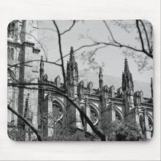 Cathedral in Spring Mouse Pad