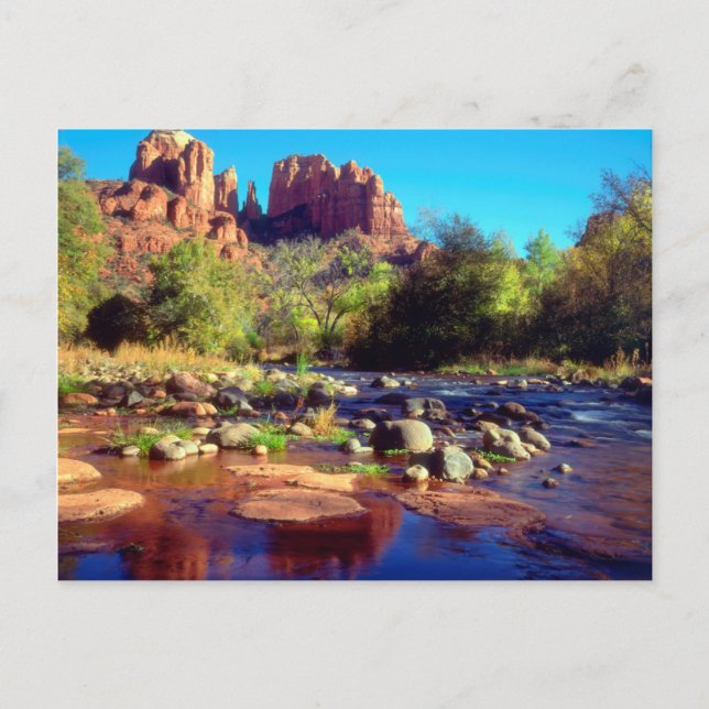 Cathedral Rock reflecting in Oak Creek Postcard (Front)