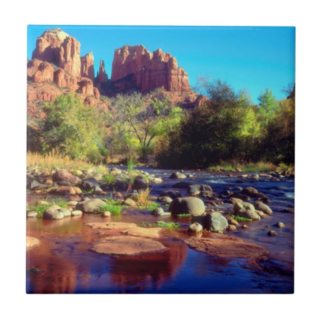 Cathedral Rock reflecting in Oak Creek Tile (Front)