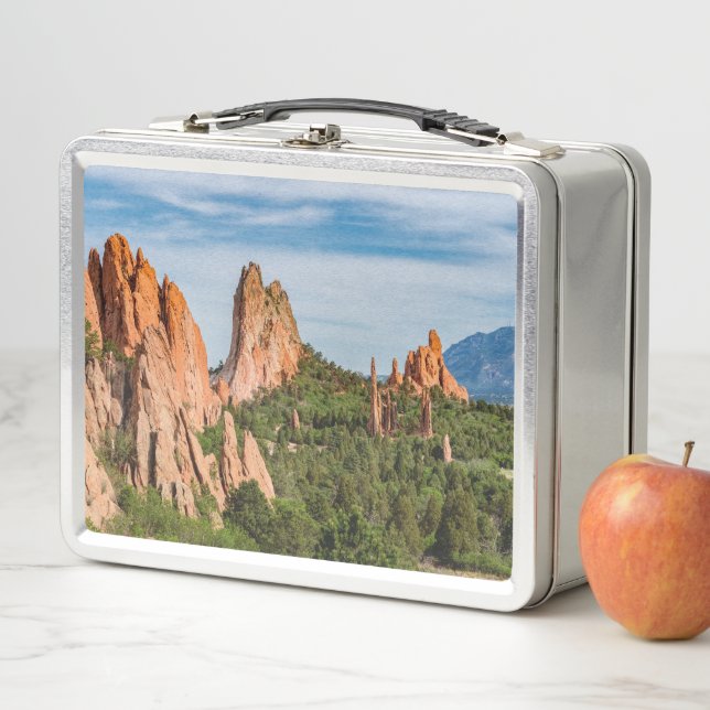 Cathedral Spires Formations Colorado Lunchbox (In Situ)