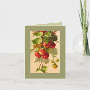 Catherine Klein strawberries NOTE CARD DKGR