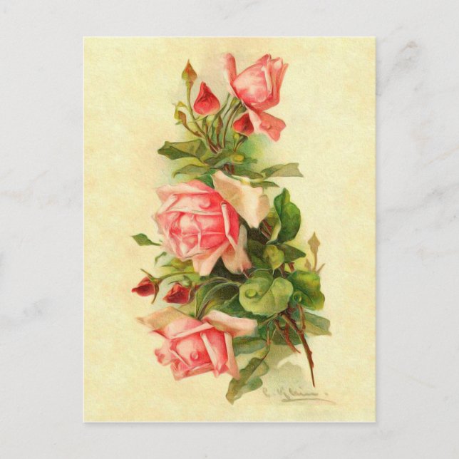 Catherine Klein Victorian Flower Roses Bouquet Postcard (Front)