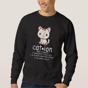 Cation Cat Ion Science Pawsitive Pun Chemistry Sweatshirt